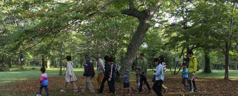 支笏湖の森を散策！朝の自然観察会♪