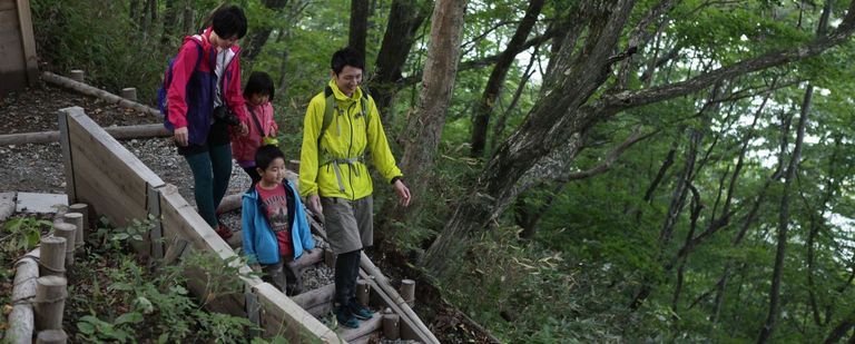 支笏湖の森を散策！朝の自然観察会♪