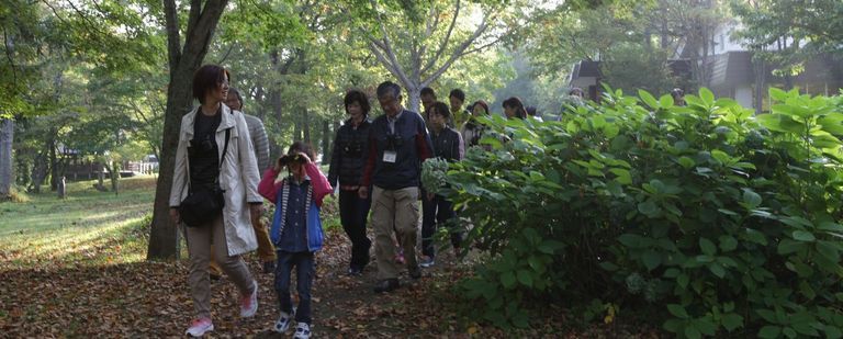 支笏湖の森を散策！朝の自然観察会♪