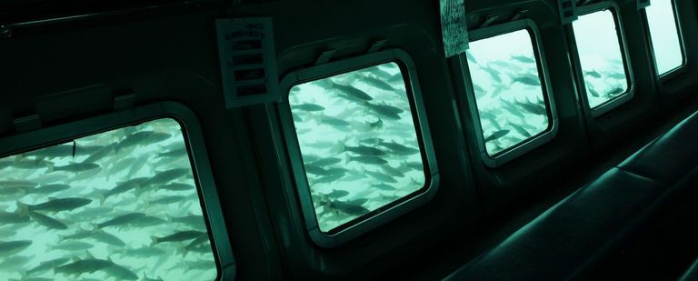 チェックアウト　　湖畔散策へLet's go
