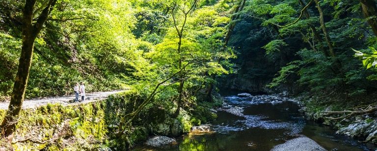 日本百景・国定公園「帝釈峡」