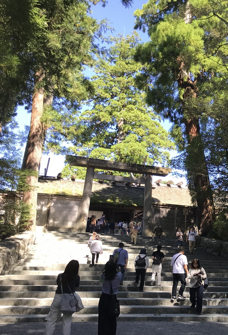 休暇 村 伊良湖