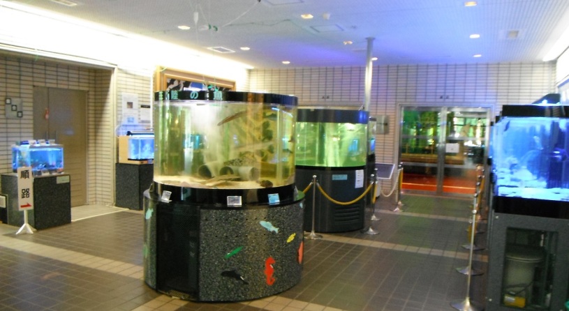 水産科学館