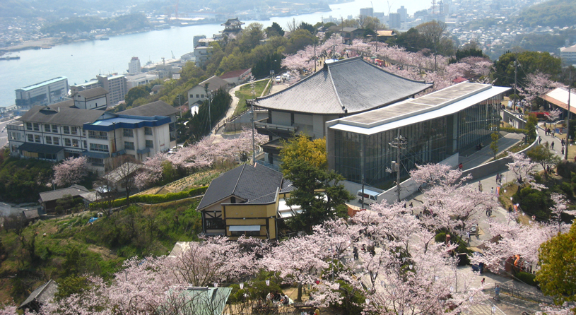 大宝山　権現院　千光寺