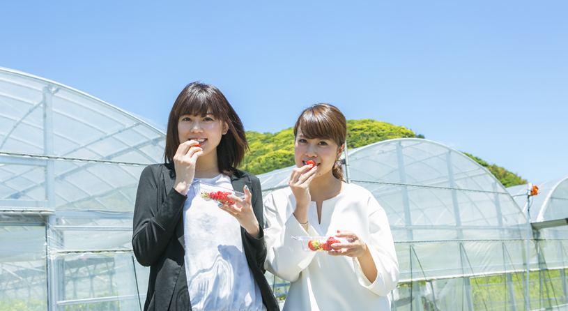 BABY BERRY FARM