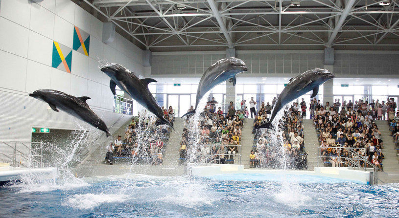 いおワールド　かごしま水族館