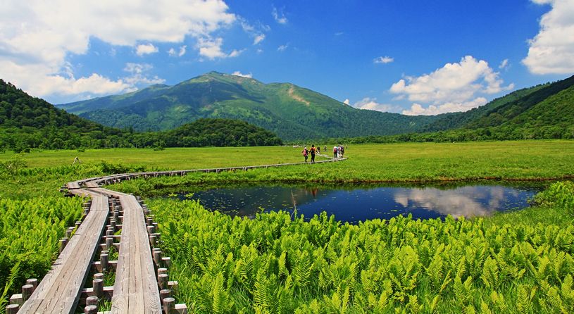 日本最高峰湿地「尾瀬」