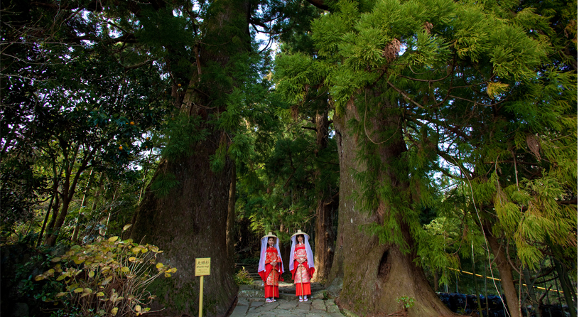 熊野古道「大門坂」