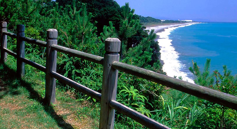 熊野古道「高野坂」