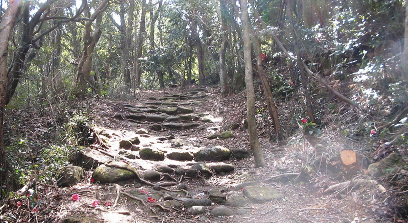 熊野古道「高野坂」