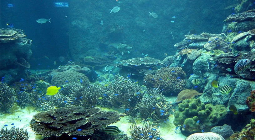 串本海中公園センター