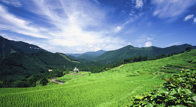 丸山千枚田