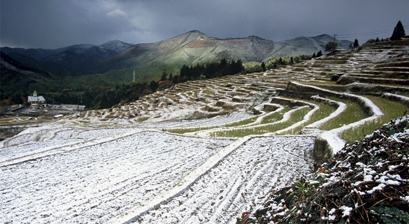 丸山千枚田