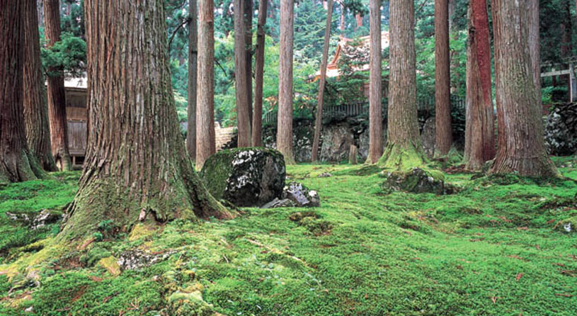 平泉寺白山神社