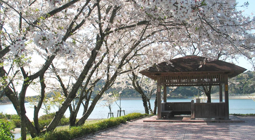 初立池公園