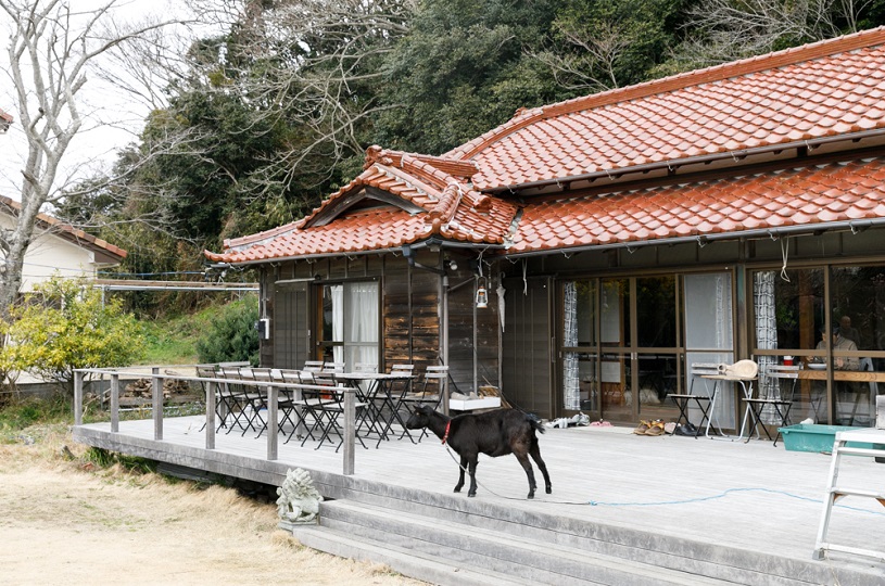画像1
