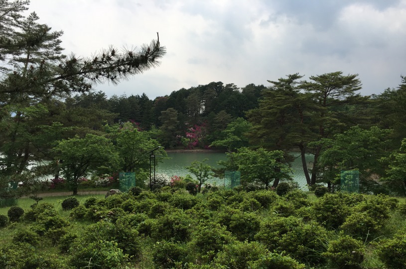 画像4