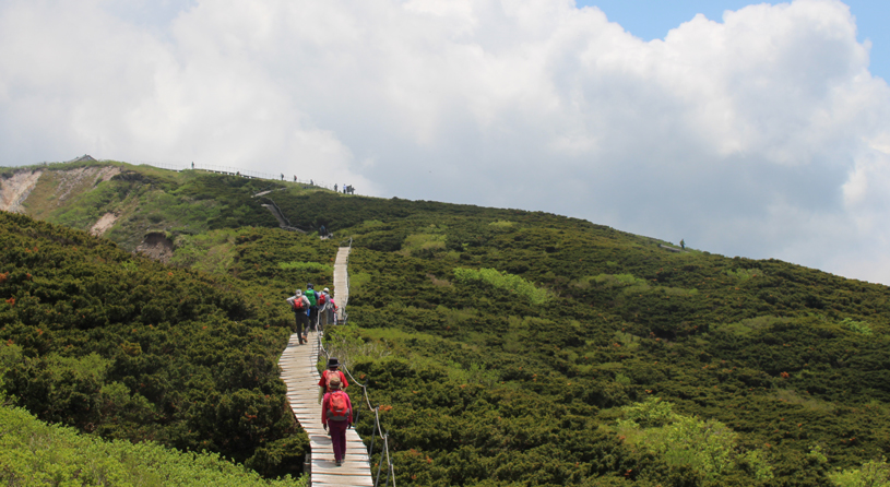 【中国地方最高峰】大山に登ろう♪