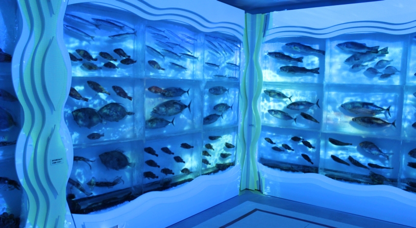 氷の水族館