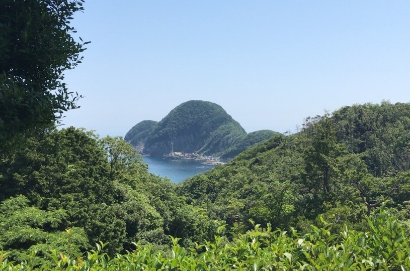 画像1