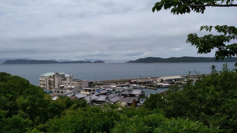 画像4