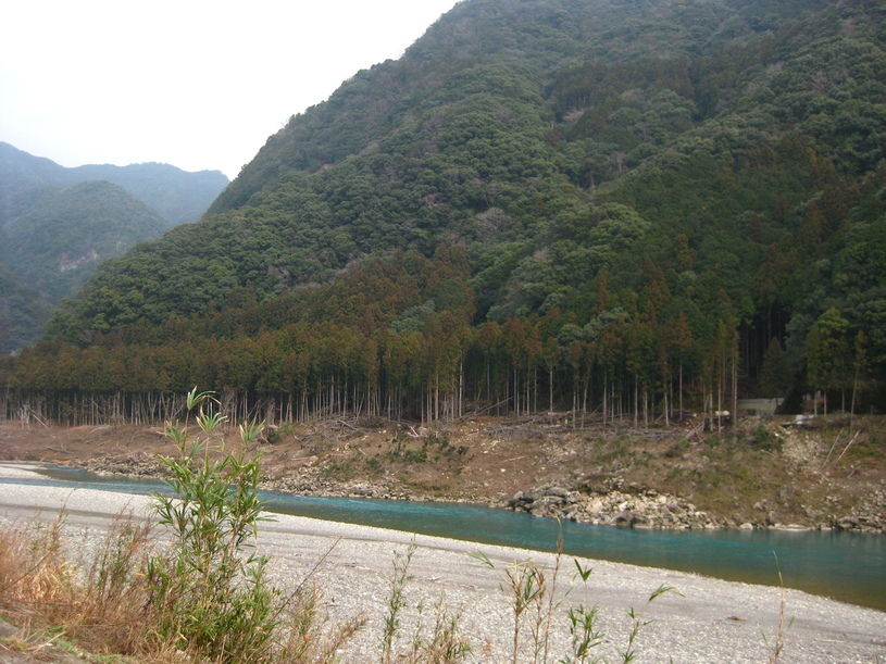 画像2