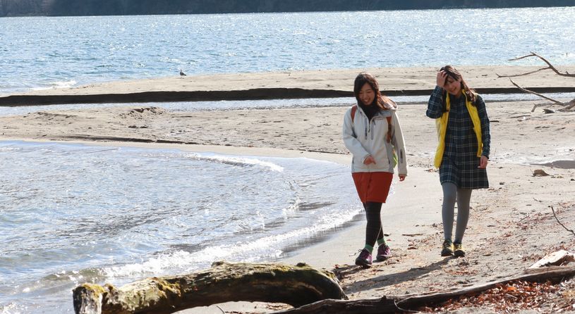 クリンソウの聖地　「千手ヶ浜」