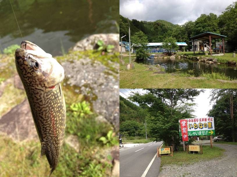画像2