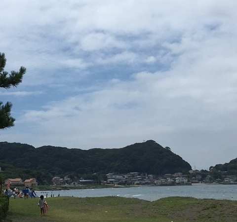 画像1