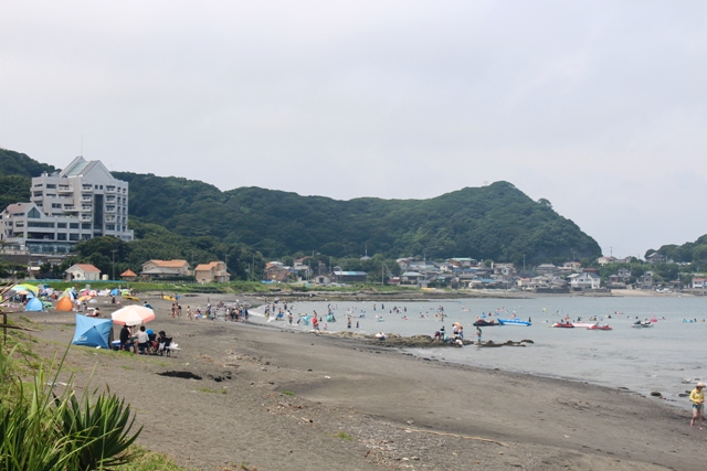 画像1