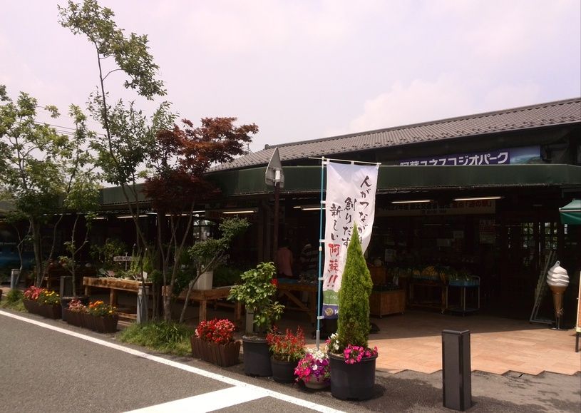 画像4