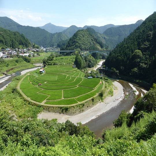 画像3