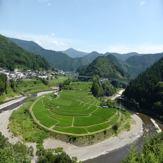 画像4