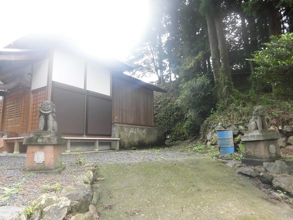 画像4