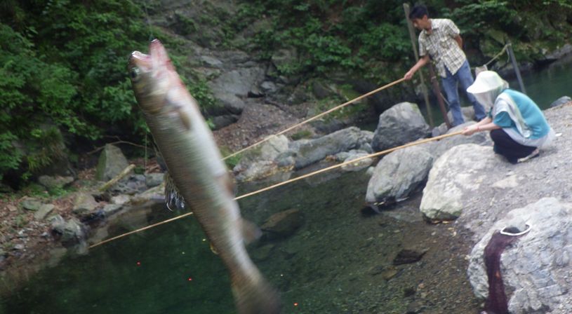 あしがくぼ渓谷国際釣場