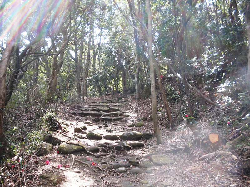 画像2