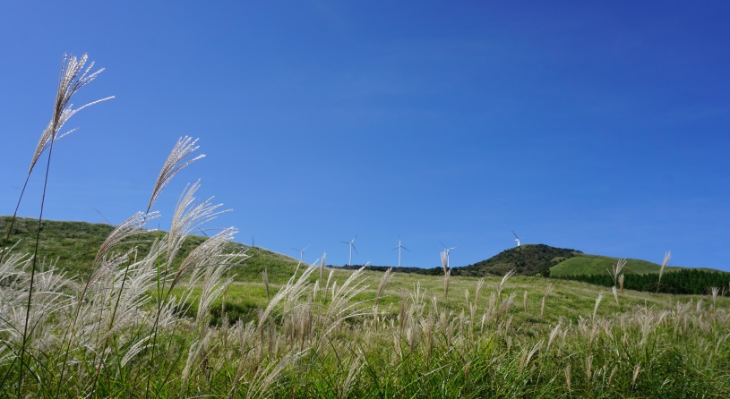 稲取細野高原