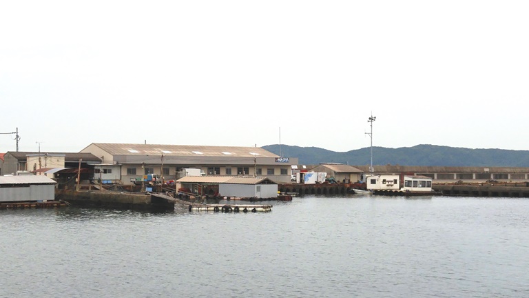 加太鮮魚（和歌山市加太）