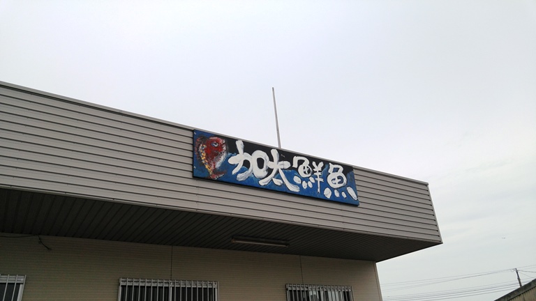加太鮮魚（和歌山市加太）