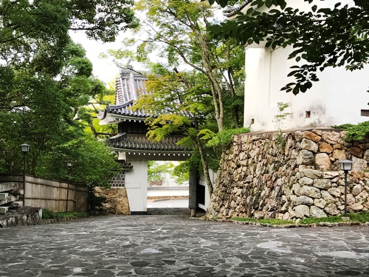 画像2