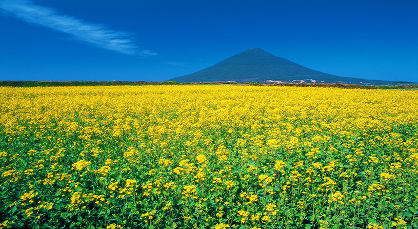 開聞岳