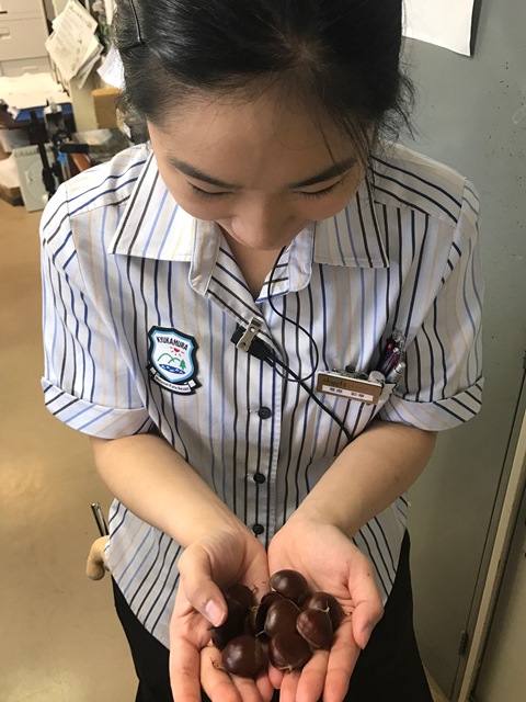 画像5