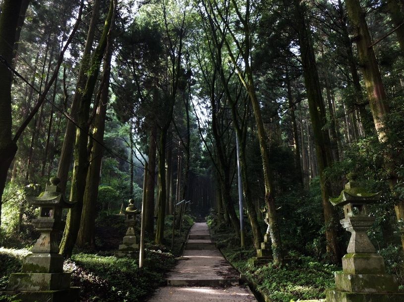 画像4