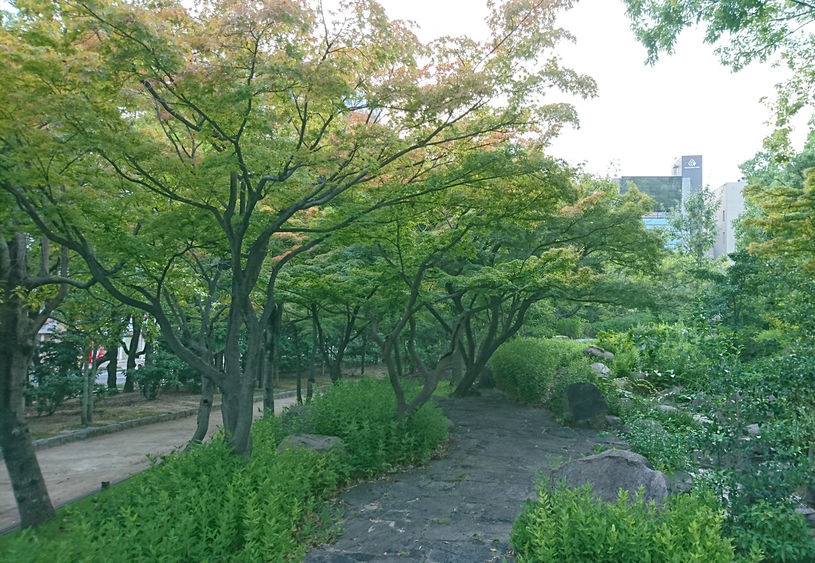 画像2