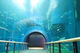 滋賀県立琵琶湖博物館
