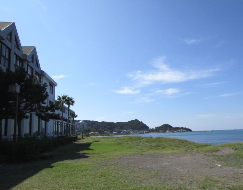 画像1