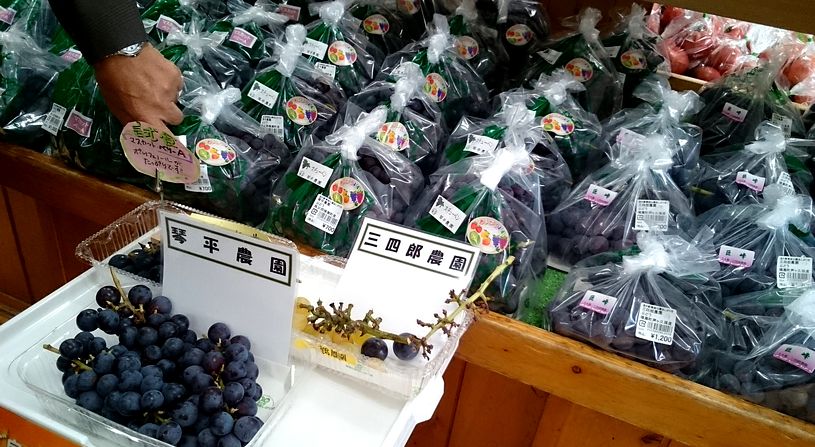 道の駅　果樹公園あしがくぼ