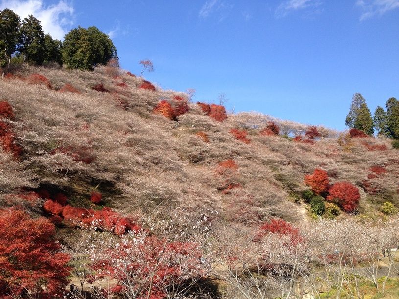 画像2