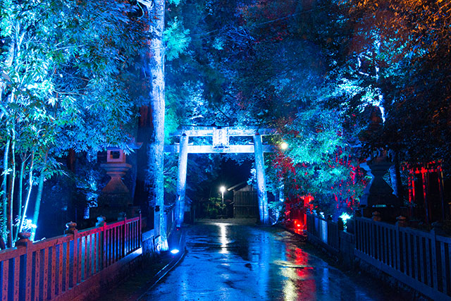 画像2