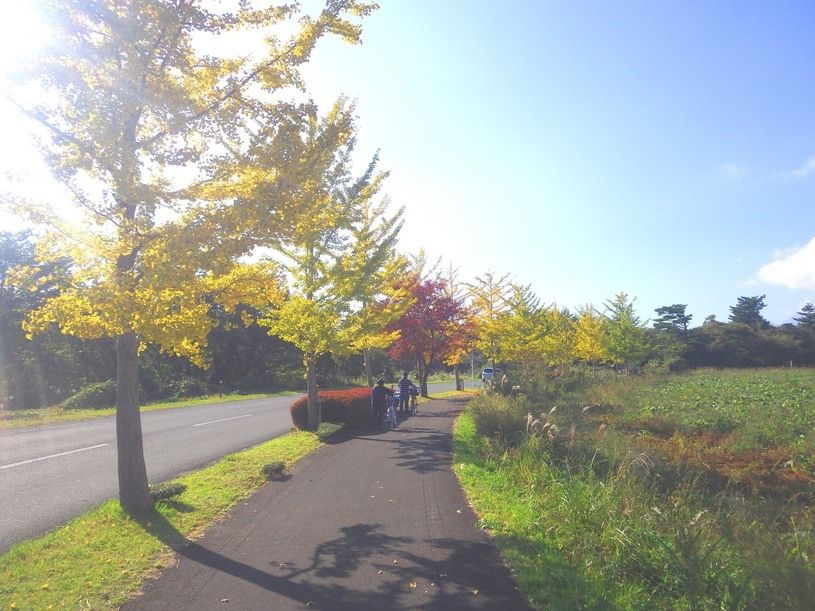 画像2
